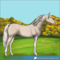 Horse Color:Cremello Tobiano 