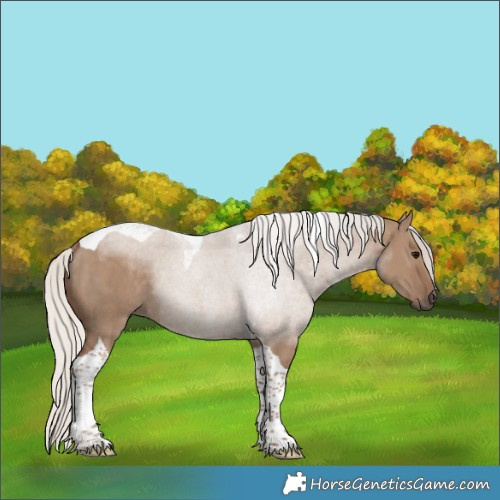 Horse Color:Silver Grullo Tobiano Rabicano