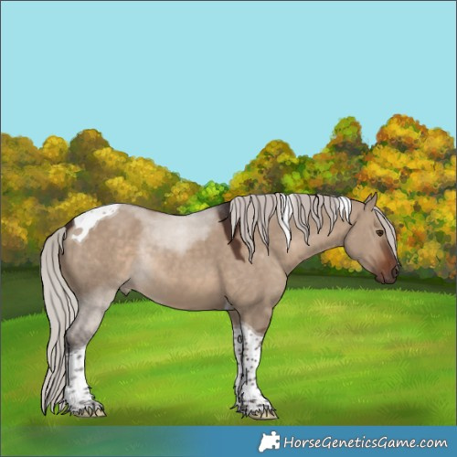 Horse Color:Silver Brown Dun Tobiano