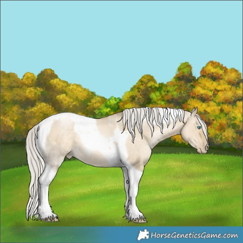 Horse Color:Silver Smoky Grullo Pearl Tobiano