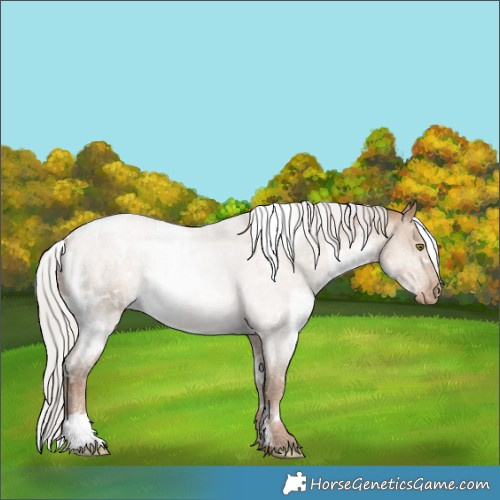 Horse Color:White Spotted Silver Brown Pearl Dun