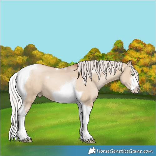 Horse Color:White Spotted Silver Brown Pearl Dun Tobiano