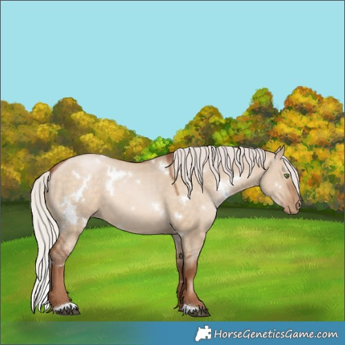 Horse Color:White Spotted Silver Brown Pearl Dun