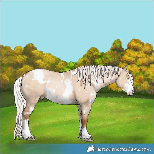 Horse Color:White Spotted Silver Brown Pearl Dun Sabino 