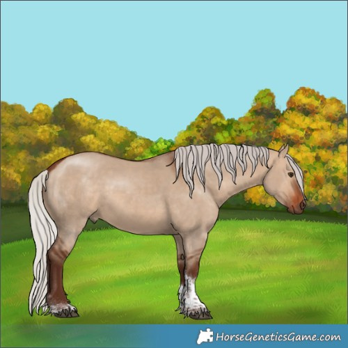 Horse Color:White Spotted Silver Bay Dun Tobiano