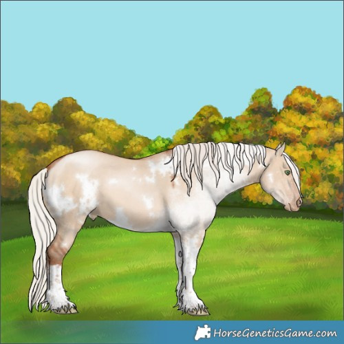 Horse Color:White Spotted Silver Brown Pearl Dun Tobiano