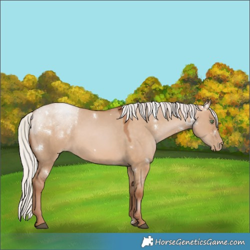 Horse Color:White Spotted Silver Brown Pearl Dun