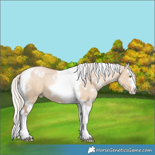 Horse Color:White Spotted Silver Brown Pearl Dun Splash Tobiano