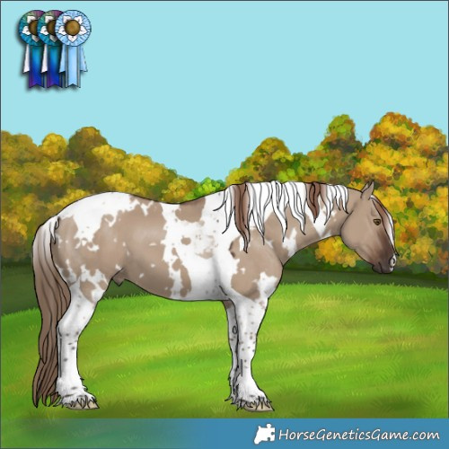 Horse Color:White Spotted Liver Red Dun Tobiano