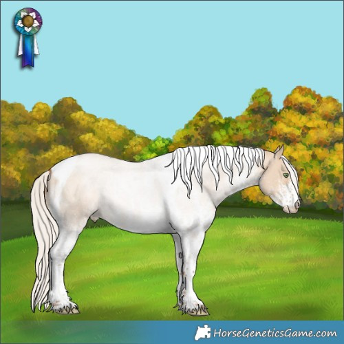 Horse Color:White Spotted Silver Brown Pearl Dun Tobiano