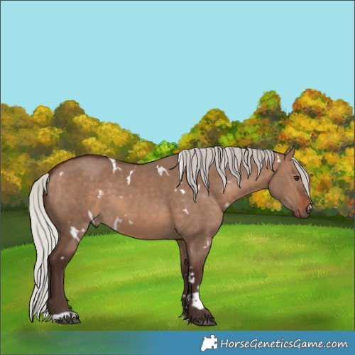 Horse Color:White Spotted Silver Brown Dun 
