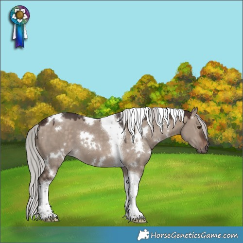 Horse Color:White Spotted Silver Brown Dun Mushroom Tobiano 