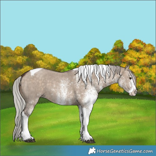 Horse Color:White Spotted Silver Brown Dun Tobiano