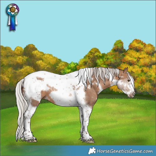 Horse Color:White Spotted Silver Brown Dun Tobiano Frame