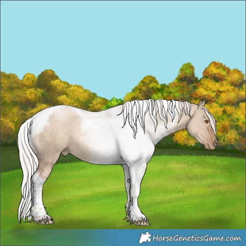 Horse Color:Silver Grullo Pearl Tobiano 