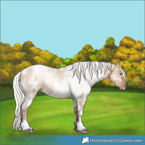 Horse Color:White Spotted Silver Brown Pearl Dun