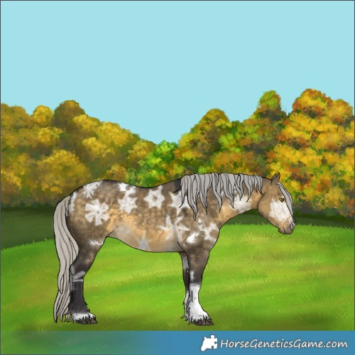 Horse Color:White Spotted Silver Buckskin Ice Dun Tobiano