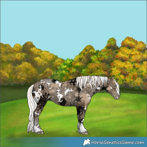 Horse Color:White Spotted Silver Smoky Black Ice Pearl Sabino 