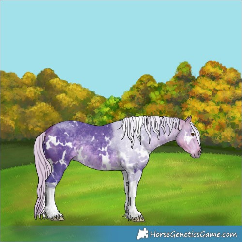 Horse Color:Watercolor White Spotted Silver Buckskin Tobiano 