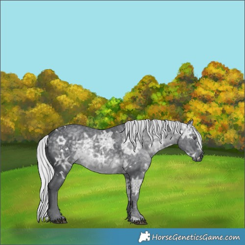 Horse Color:White Spotted Silver Black Chinchilla Ice 