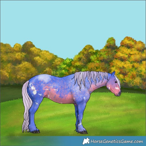 Horse Color:Watercolor White Spotted Silver Smoky Black