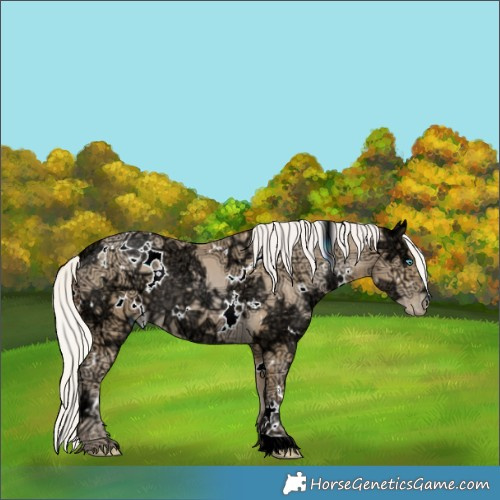 Horse Color:White Spotted Silver Smoky Black Ice Pearl 