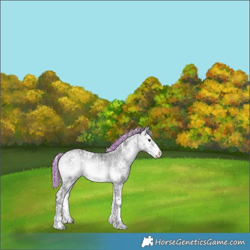 Horse Color:Painted White Spotted Silver Blue Onyx Chinchilla Ice Sabino 
