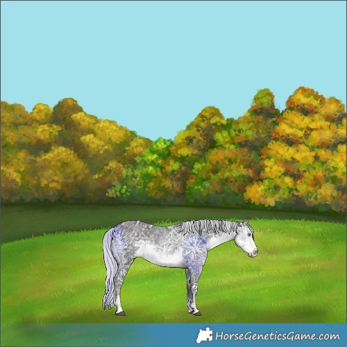 Horse Color:White Spotted Silver Smoky Black Chinchilla Ice Sabino