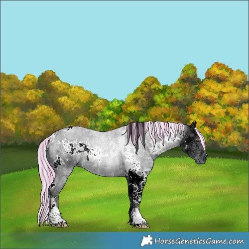 Horse Color:Painted White Spotted Silver Black Chinchilla Ice 