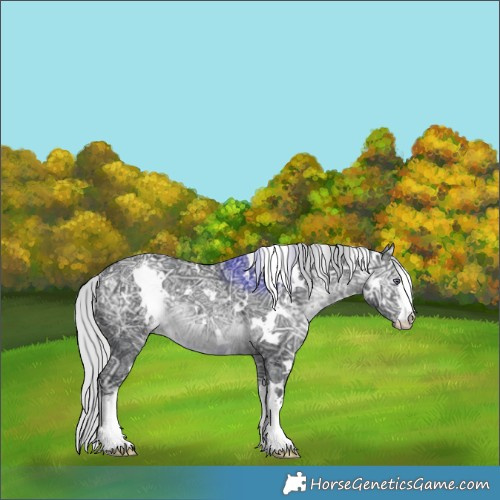 Horse Color:White Spotted Silver Brown Chinchilla Ice 