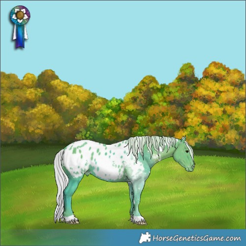 Horse Color:Watercolor White Spotted Silver Black Appaloosa 