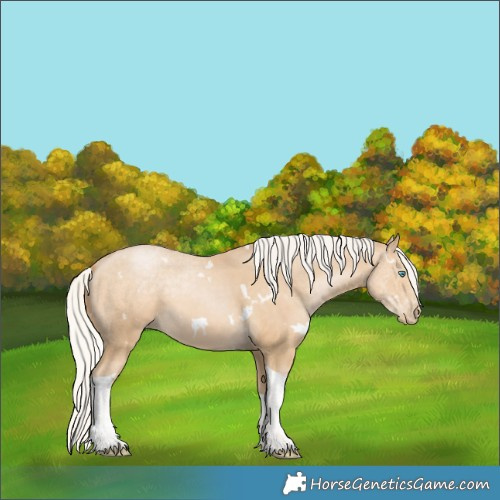 Horse Color:White Spotted Silver Smoky Black Pearl Tobiano