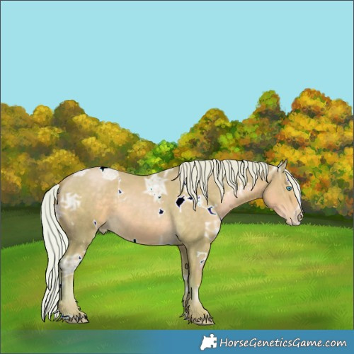 Horse Color:Watercolor White Spotted Silver Smoky Black Ice Pearl 