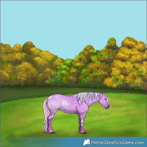 Horse Color:Watercolor White Spotted Silver Grullo 