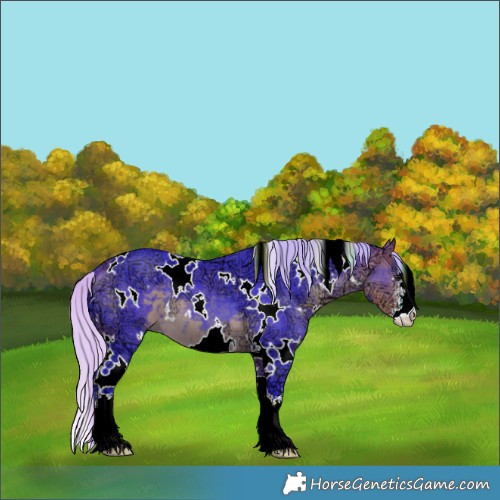 Horse Color:Watercolor White Spotted Silver Buckskin Ice