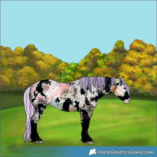 Horse Color:Painted White Spotted Silver Buckskin Ice Sabino
