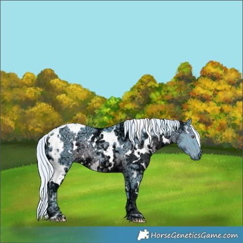 Horse Color:Watercolor White Spotted Silver Black Chinchilla Ice 