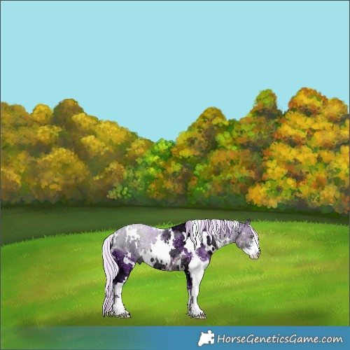 Horse Color:Watercolor White Spotted Silver Smoky Black Chinchilla Ice Sabino Rabicano 