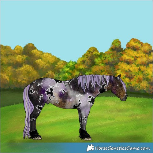 Horse Color:Painted White Spotted Silver Buckskin Ice 