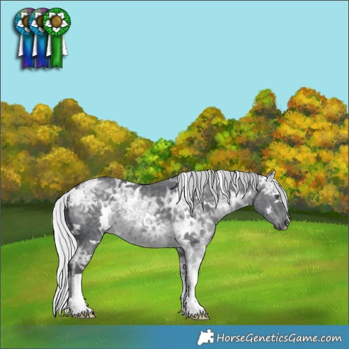 Horse Color:White Spotted Silver Black Chinchilla Ice 