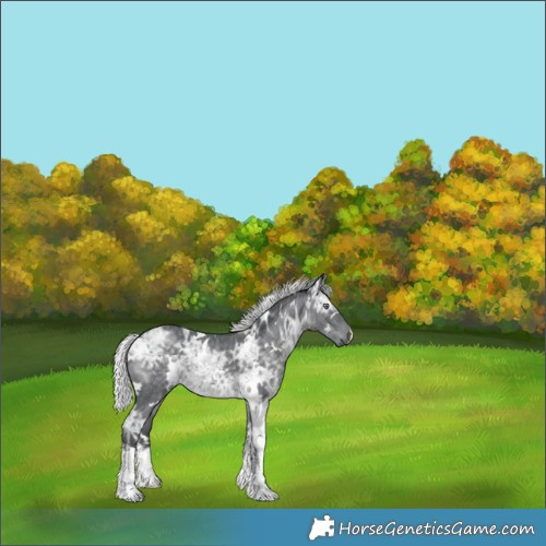 Horse Color:White Spotted Silver Black Chinchilla Ice 