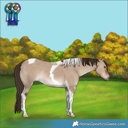 Horse Color:Liver Red Dun Tobiano Rabicano 