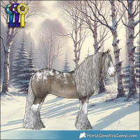 Horse Color:Powder White Gray Silver Grullo Splash Brindle