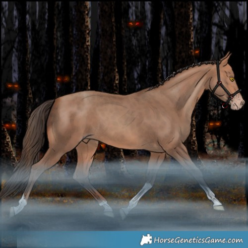 Horse Color:Amber Champagne Tobiano Rabicano 