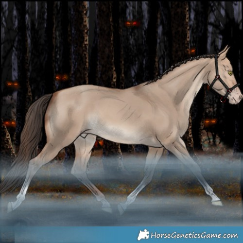 Horse Color:Amber Champagne Dun Tobiano Rabicano 