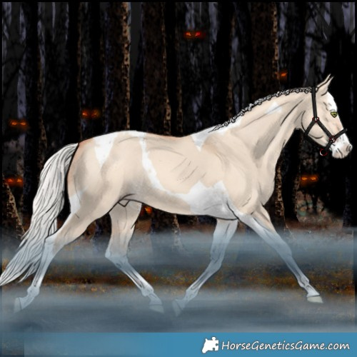 Horse Color:Silver Amber Champagne Dun Splash Tobiano Rabicano 