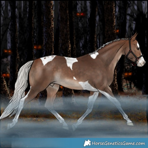 Horse Color:Silver Bay Splash Tobiano Rabicano 