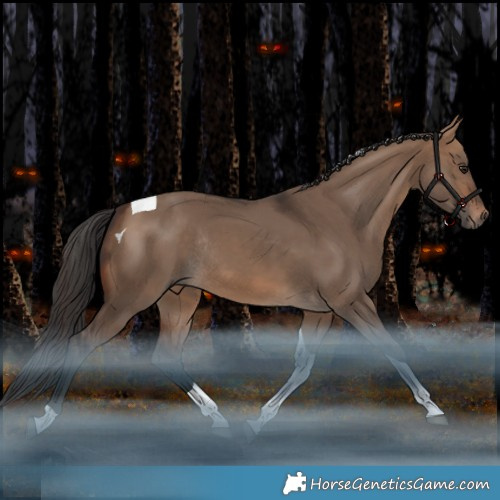 Horse Color:Brown Dun Tobiano Rabicano