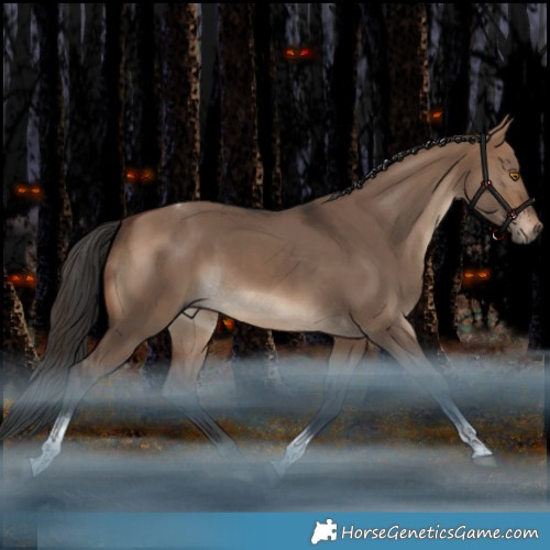 Horse Color:Brown Dun Tobiano Rabicano