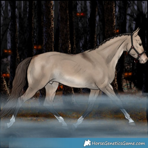 Horse Color:Bay Dun Tobiano Appaloosa Rabicano